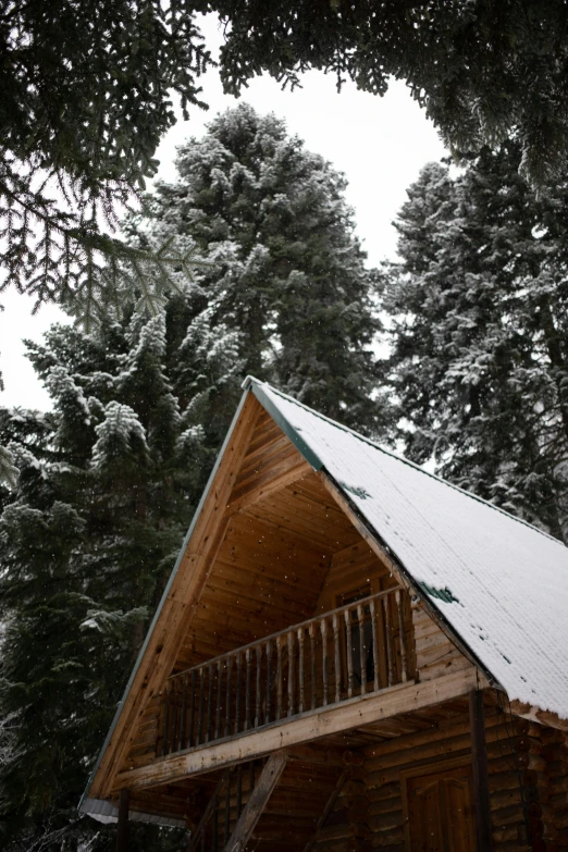 a cabin in the woods with snow on the roof, evergreen valley, square, up-close, high quality photo