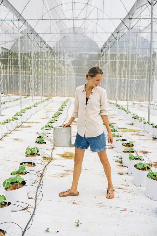 a woman standing in a greenhouse holding a watering can, by Nicolette Macnamara, wears shorts, hydroponic farms, white, tanned ameera al taweel