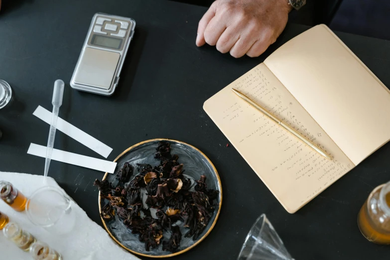 a person sitting at a table with a plate of food, a still life, pexels contest winner, process art, botanical herbarium paper, taking tobacco snuff, holding scale, bog oak