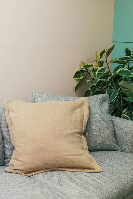 a couch sitting in a living room next to a potted plant, inspired by Sarah Lucas, unsplash, light beige pillows, detail shot, colored, herbs