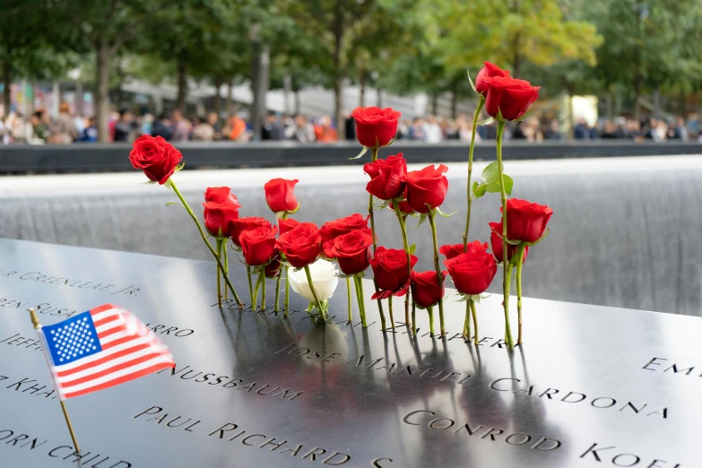 a memorial with red roses and an american flag, fine art, 9 / 1 1 attacks, fan favorite, city views, plan