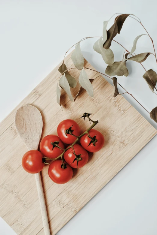 tomatoes and a wooden spoon on a cutting board, a still life, pexels contest winner, eucalyptus, clean and pristine design, vines, subtle detailing