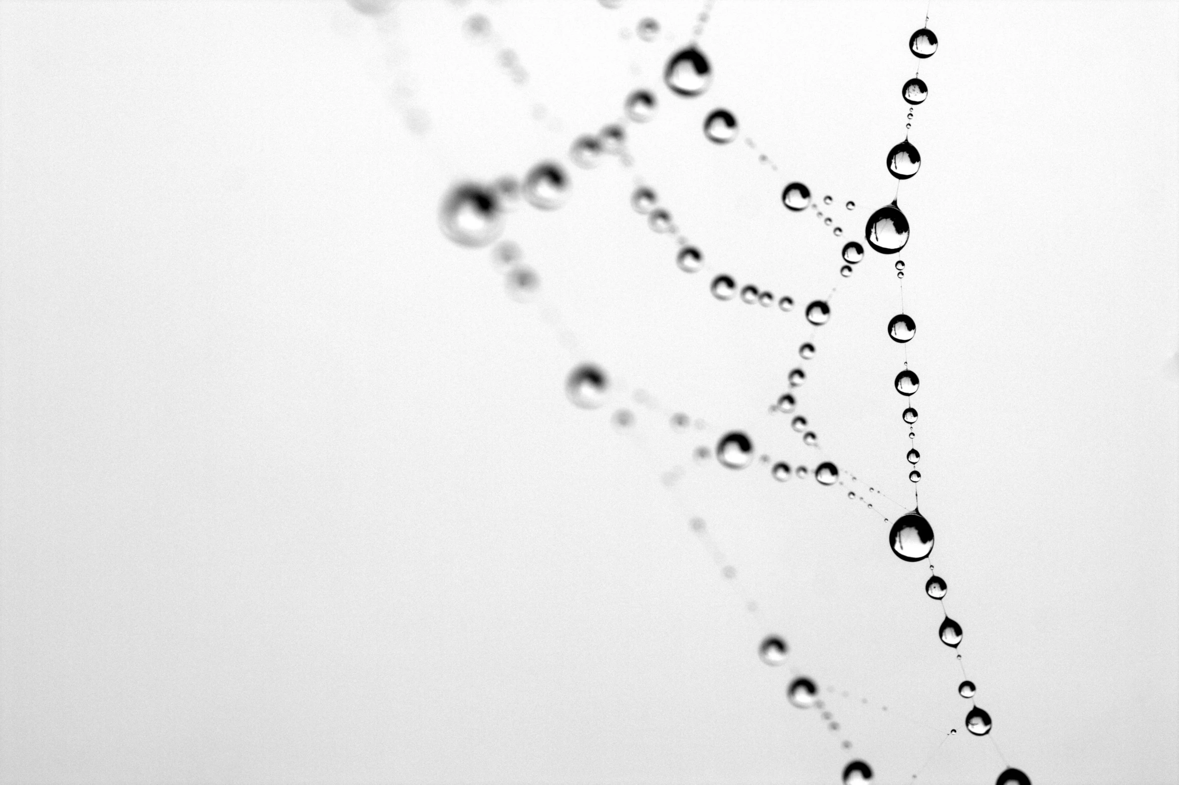 a spider web with water droplets on it, by Matthias Weischer, minimalism, uploaded, pearls, simple white background, dots abstract