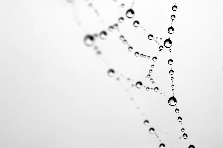 a spider web with water droplets on it, by Matthias Weischer, minimalism, uploaded, pearls, simple white background, dots abstract