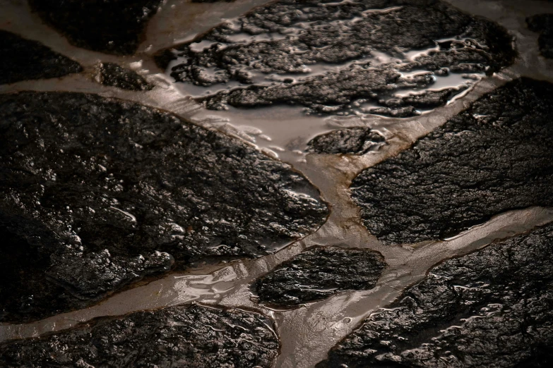 a close up of a piece of meat on a plate, lots of mud puddles and craters, ((octane render)), black oil, rocky roads