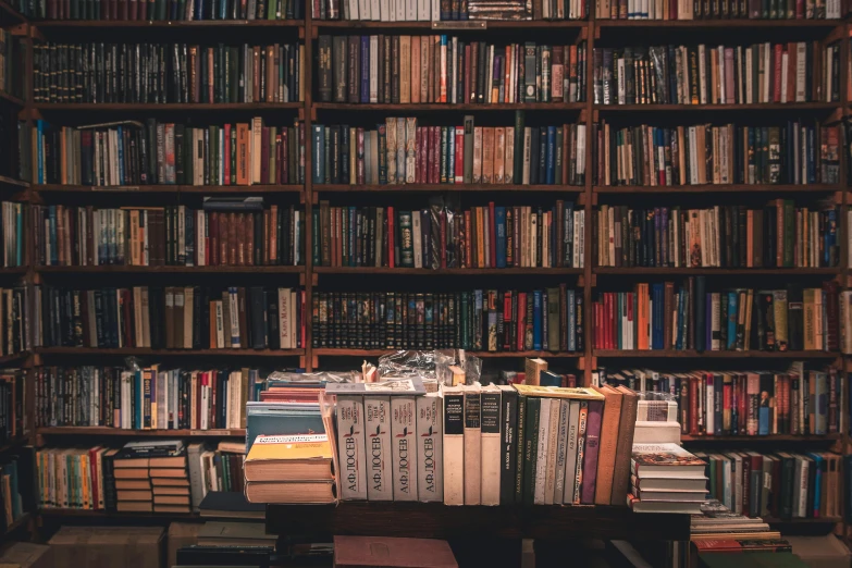 a large bookshelf filled with lots of books, pexels contest winner, papers on table, a middle-shot from front, full-body, bookshops