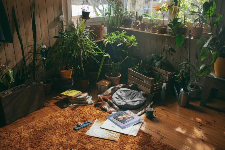 a brown rug sitting on top of a wooden floor, an album cover, inspired by Elsa Bleda, unsplash contest winner, room full of plants, studying in a brightly lit room, an overgrown library, tins of food on the floor