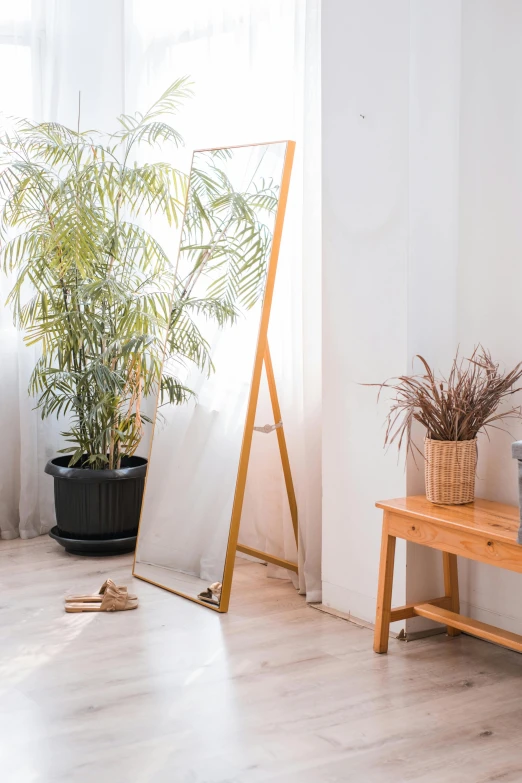 a living room filled with furniture and plants, a picture, unsplash, minimalism, standing in front of a mirror, taiwan, cottagecore!! fitness body, tall thin frame