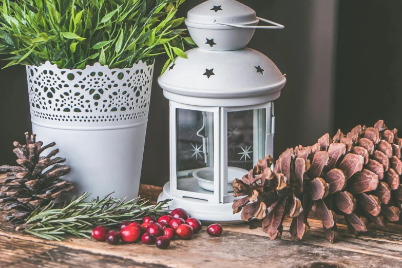 a white lantern sitting on top of a wooden table, a still life, inspired by Ernest William Christmas, trending on pexels, pine, made out of shiny white metal, patterned, light scatter