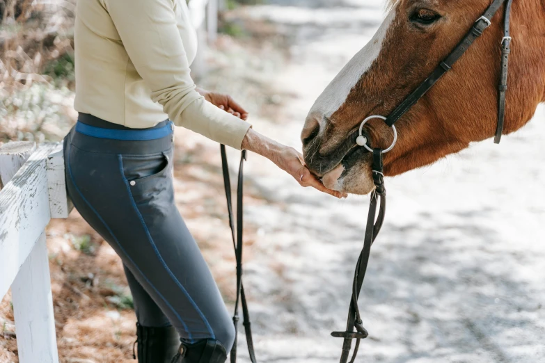 a woman standing next to a brown horse, trending on pexels, wearing pants, holding paws, “ iron bark, close up image