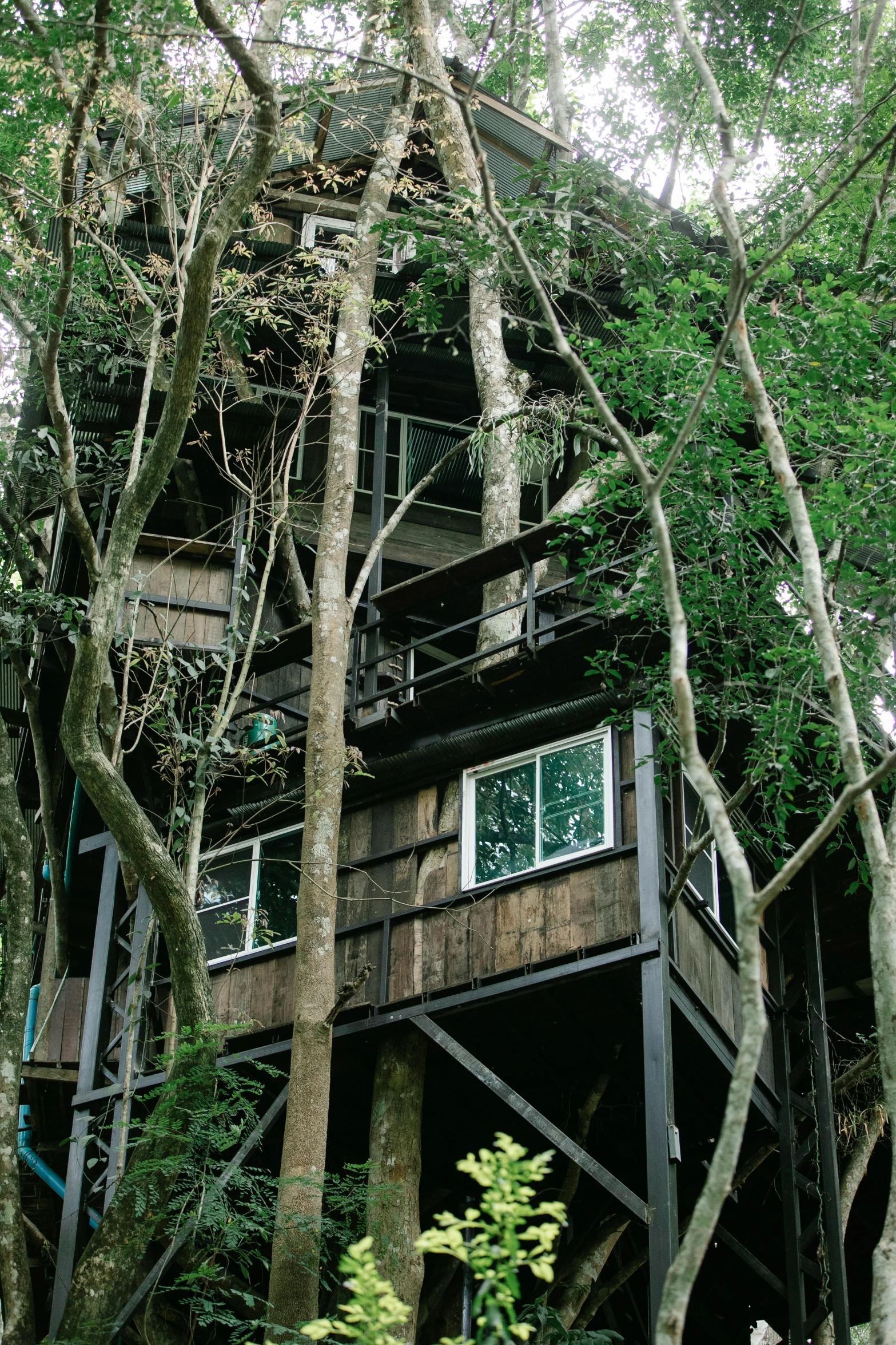 a tree house sitting in the middle of a forest, close up of lain iwakura, balconies, full building, up-close