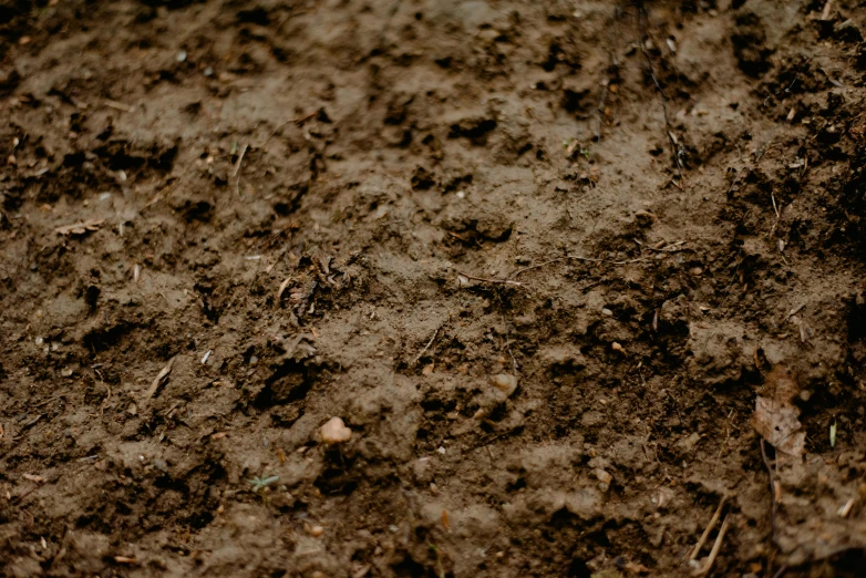 a close up of a pile of dirt, unsplash, field depth, rain and mud, background image, instagram photo