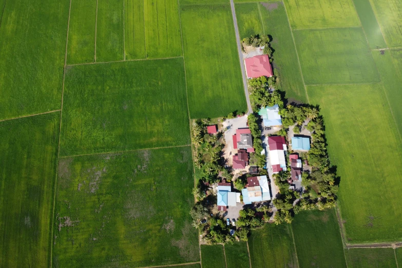 an aerial view of a house in the middle of a green field, an album cover, pexels, hurufiyya, rice paddies, complex buildings, medical, vietnam