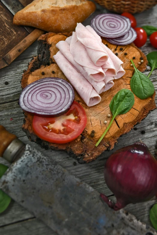 a sandwich sitting on top of a wooden cutting board, by Andries Stock, pexels contest winner, renaissance, saws, onion, avatar image, extra bacon lettuce and tomatoes