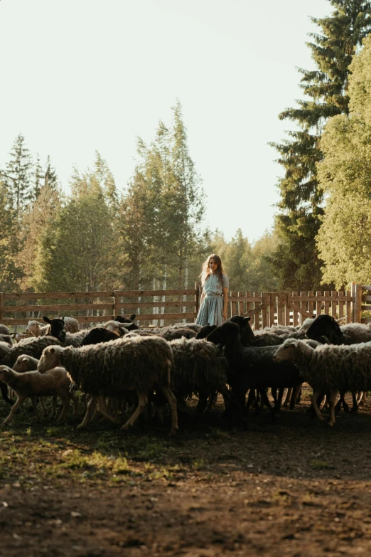 a woman standing in front of a herd of sheep, inspired by Elsa Bleda, renaissance, bright nordic forest, petting zoo, instagram photo, on a farm