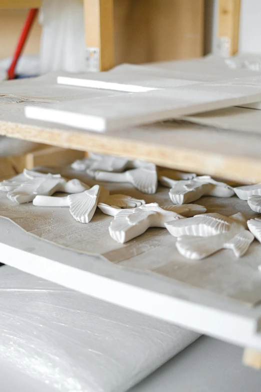 a close up of a tray of food on a table, a marble sculpture, inspired by Rachel Whiteread, unsplash, process art, swarming swirling bats, made of all white ceramic tiles, in a workshop, manufacturing