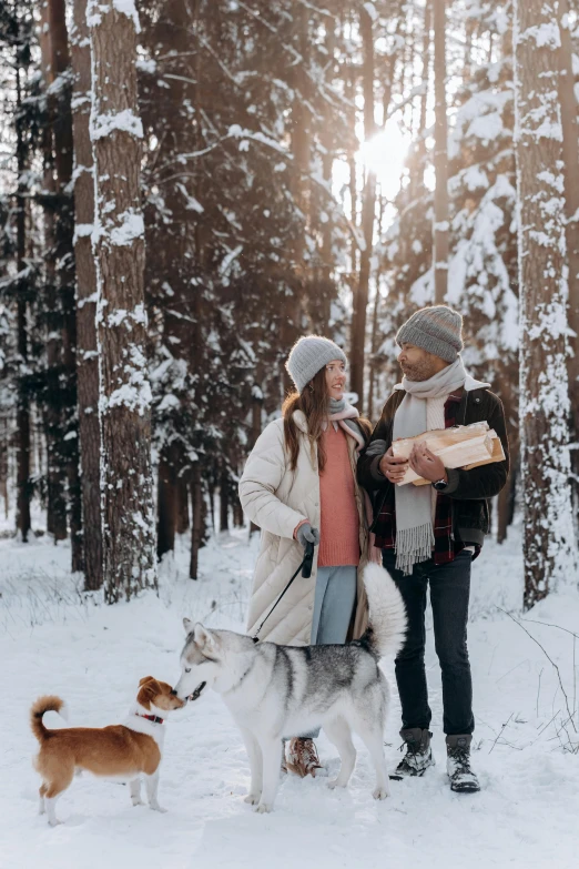 a man and woman walking two dogs in the snow, pexels contest winner, romanticism, forest picnic, giving gifts to people, grey, birch