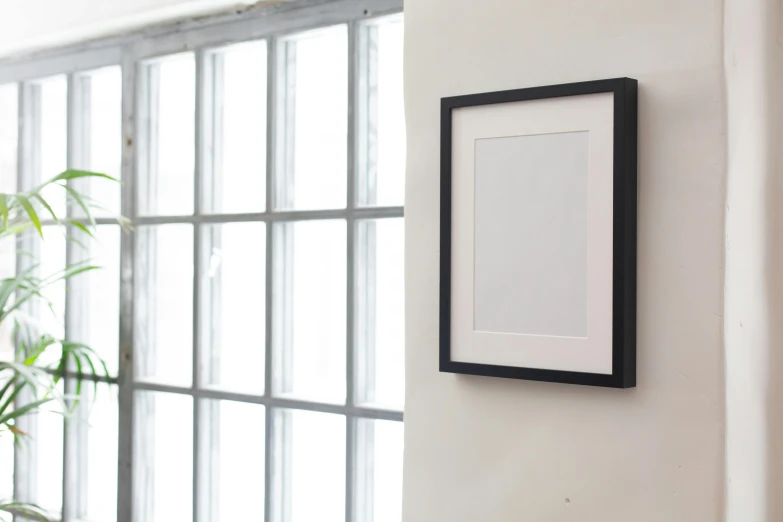 a picture frame hanging on a wall next to a potted plant, visual art, black on white paper, product photograph, looking to the right, square pictureframes