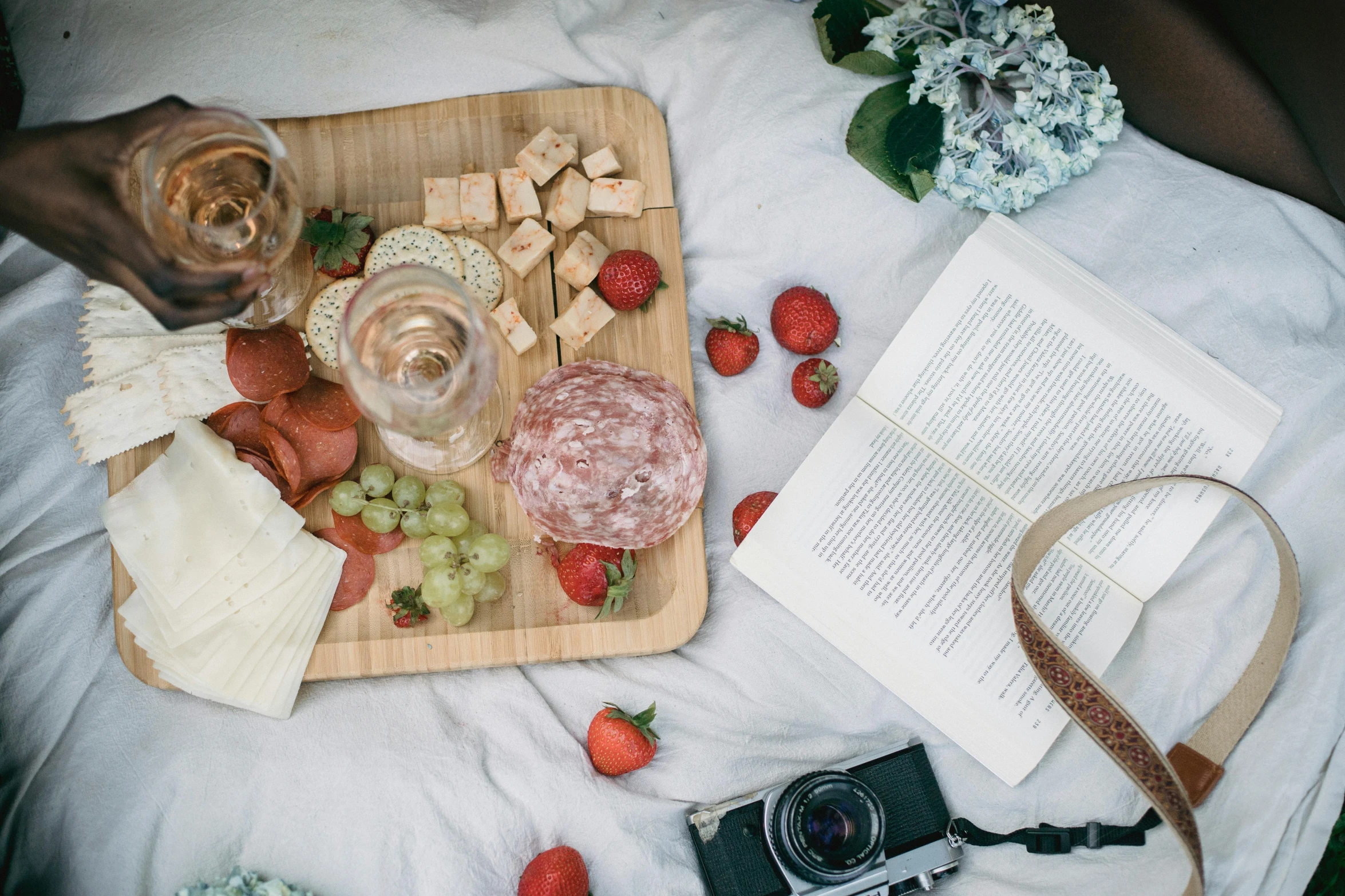 a person sitting on a bed with a plate of food and a camera, wine, flatlay book collection, picnic, unsplash photography