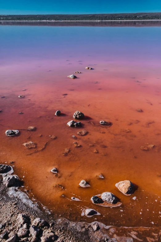 a large body of water with rocks in it, inspired by Scarlett Hooft Graafland, trending on unsplash, land art, red dust, colorful mold, polluted, nasa true color 8k image