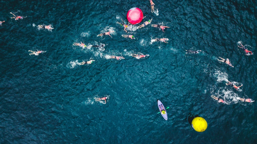 a group of people swimming in a body of water, by Lee Loughridge, pexels contest winner, massive vertical grand prix race, flatlay, intense colours, ironman