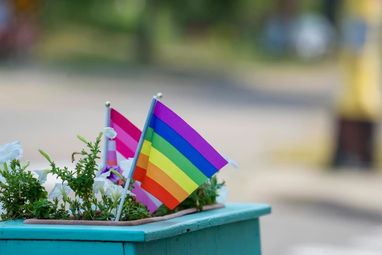 a flower pot with a rainbow flag sticking out of it, visual art, green flags, blurred background, lesbians, colorful signs