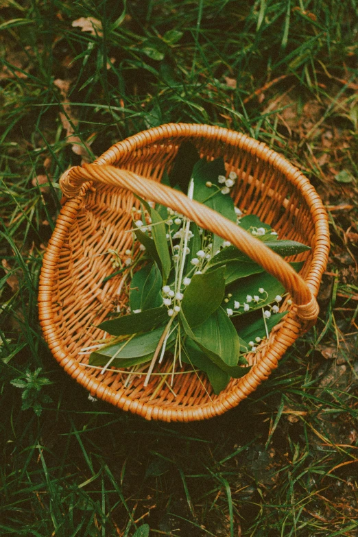 a wicker basket with a bunch of flowers in it, an album cover, unsplash, wild foliage, ramps, wide high angle view, harvest