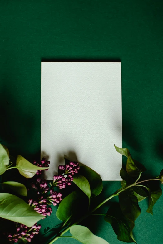 a piece of paper sitting on top of a green surface, by Carey Morris, unsplash contest winner, visual art, lush plants and flowers, tall thin frame, holiday, lilacs