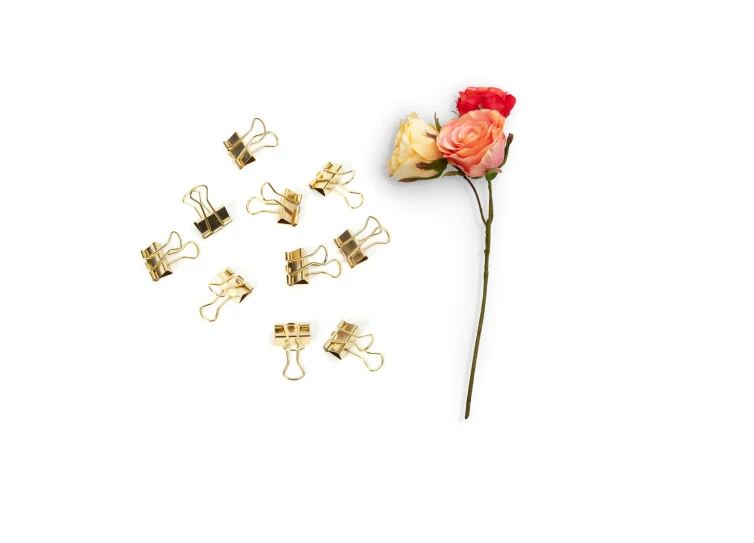 a bunch of paper clips and a rose on a white surface, 14k gold wire, product shot, flower blossoms, clamp