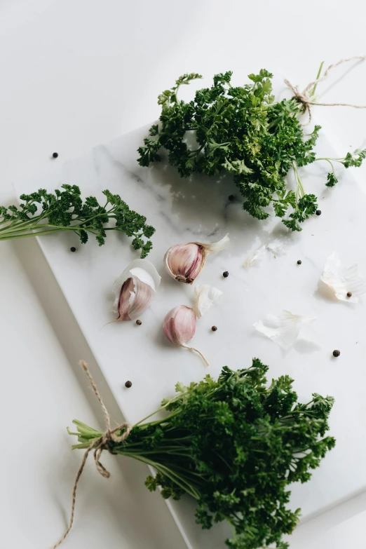 a bunch of green vegetables sitting on top of a cutting board, a still life, trending on pexels, made of carrara marble, herbs hanging, detailed product image, grey