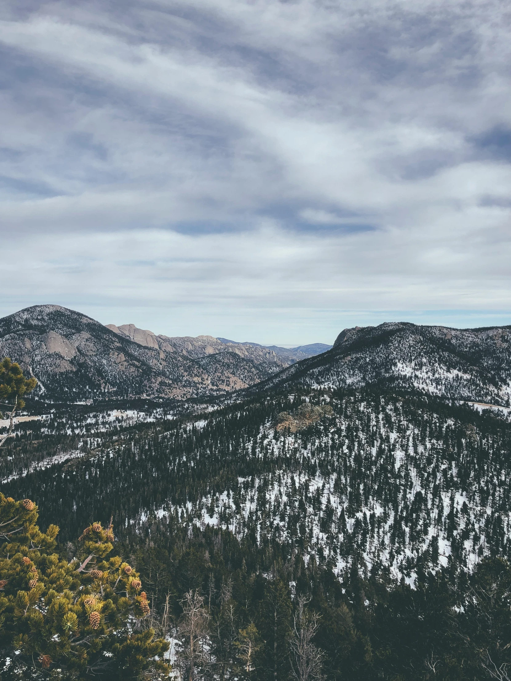 a person standing on top of a snow covered mountain, pine trees, panoramic photography, today\'s featured photograph 4k, rocky meadows