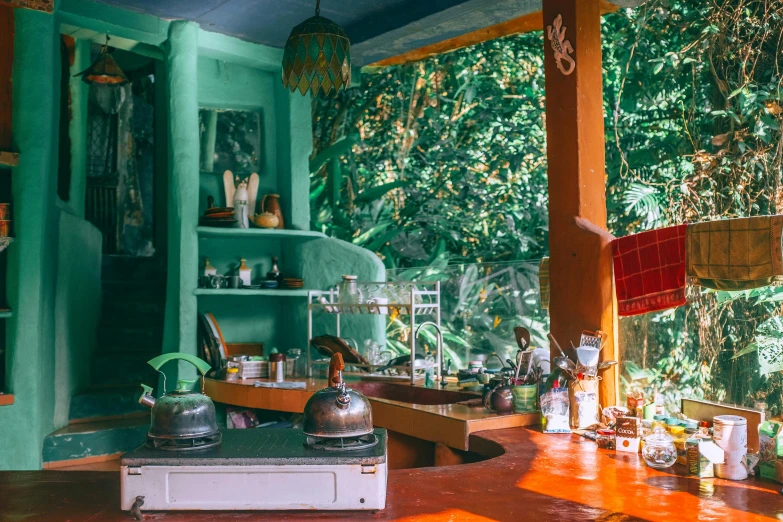 a stove top oven sitting inside of a kitchen, by Julia Pishtar, pexels contest winner, maximalism, in a tropical forest, green terrace, coffee shop, alchemy laboratory