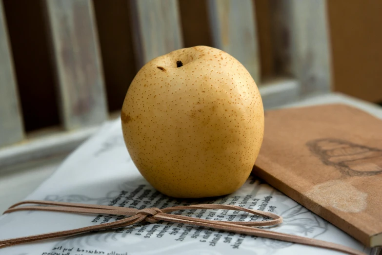 a pear sitting on top of a book on a table, inspired by Kanō Naizen, unsplash, private press, wearing wheat yellow gauze, small nose with freckles, voluptuous sesame seed bun, closeup photograph