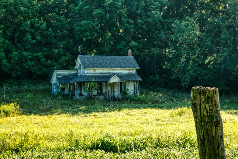 an old house sitting in the middle of a field, inspired by Gregory Crewdson, pexels contest winner, renaissance, overgrown greenery, istock, old american midwest, tourist photo