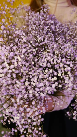 a woman holding a bunch of purple flowers, pexels, hurufiyya, gypsophila, intricate hyperdetail macrophoto, digital image, glitter
