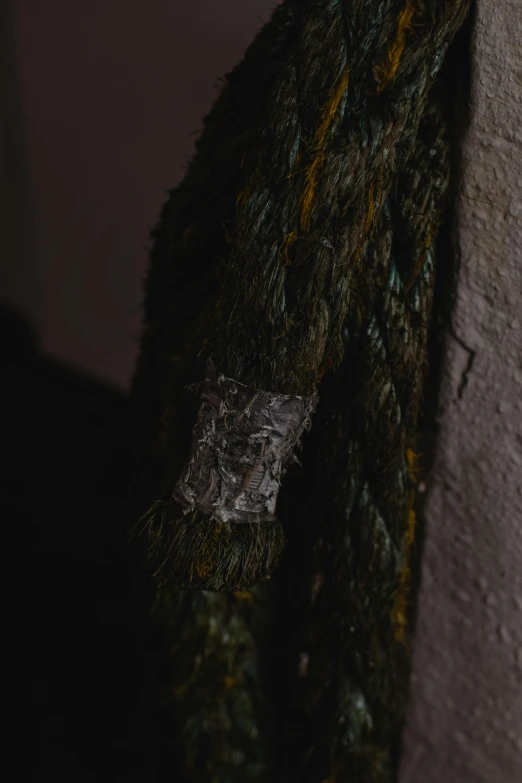 a close up of a rope on a wall, an album cover, by Jan Tengnagel, hurufiyya, ornate dark green clothing, armor made of bark, 'untitled 9 ', detailed product shot