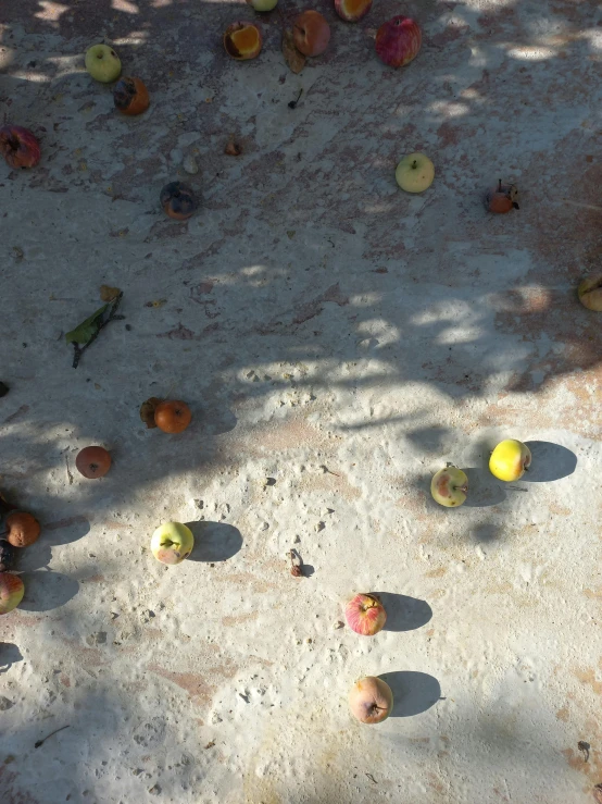 a bunch of apples that are on the ground, inspired by Elsa Bleda, land art, rammed earth courtyard, light scatter, cast shadows, ignant