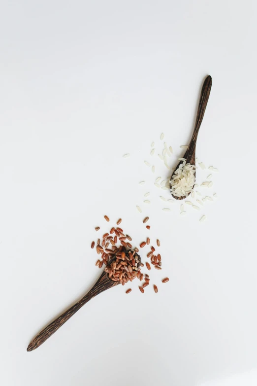 a spoon filled with rice next to a spoon full of rice, trending on unsplash, renaissance, white backdrop, red brown and white color scheme, multiple stories, alessio albi