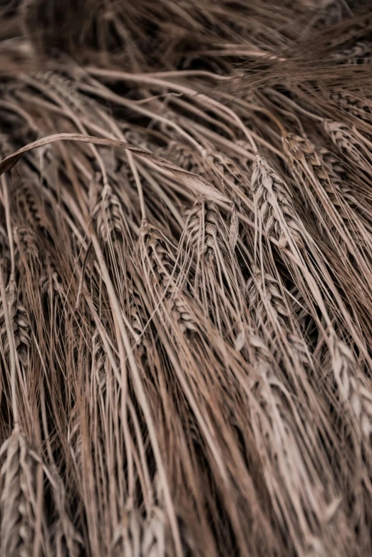 a close up of a bunch of straw, a digital rendering, by David Simpson, unsplash, hurufiyya, feathered hair, hut, full frame image, decoration