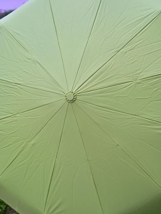 a green umbrella sitting on top of a lush green field, interior of a tent, detailed product image, light green, detail texture