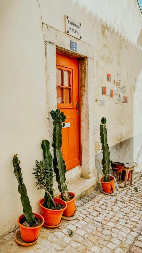 a couple of potted plants sitting on the side of a building, by Matija Jama, pexels contest winner, massive decorated doors, orange color, patchy cactus, small cottage with red shutters