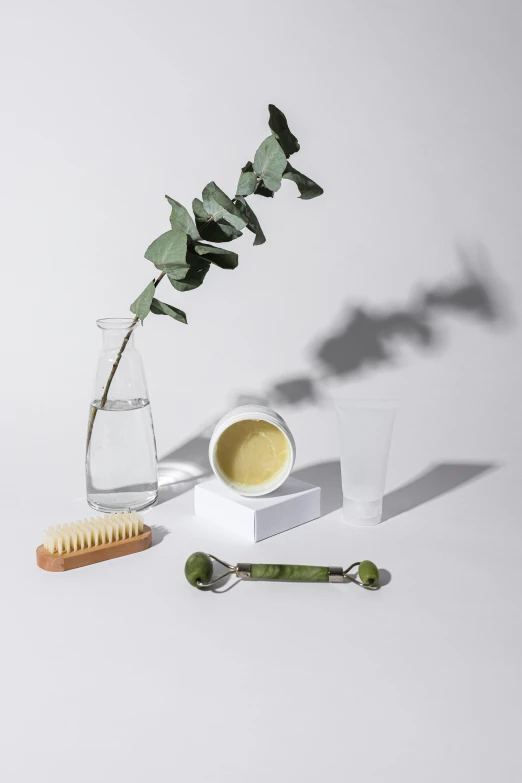 a vase filled with a green plant next to a toothbrush, detailed product image, various items, with lemon skin texture, powder