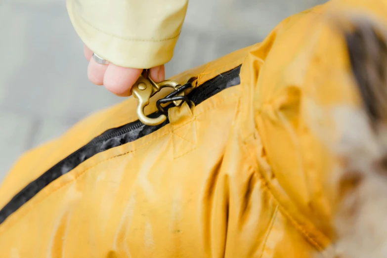 a close up of a person holding a dog's leash, by Nina Hamnett, unsplash, process art, yellow raincoat, seams stitched tightly, holding a wrench, bag over the waist