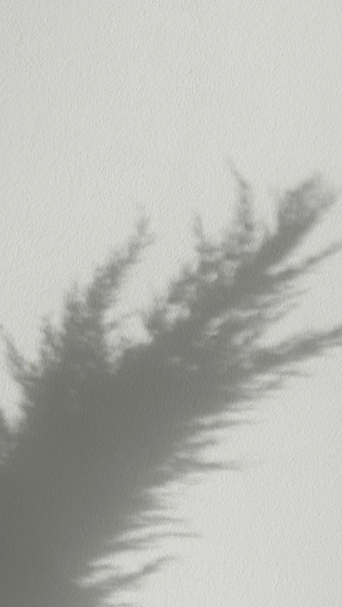 a black and white photo of a plant in a vase, inspired by Sōami, conceptual art, looks like a tree silhouette, dust cloud, sun flare, dawn mcteigue