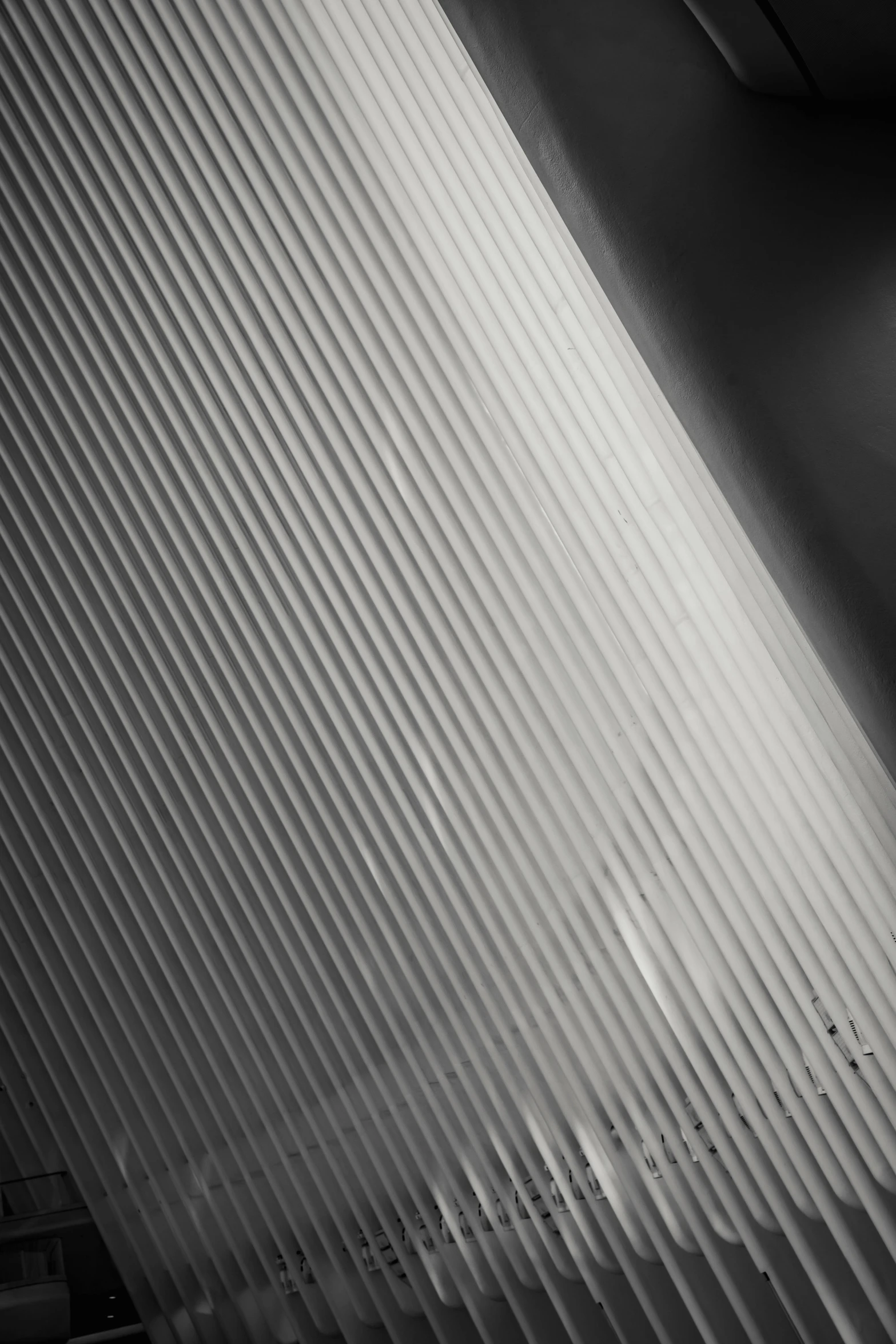 a black and white photo of a window with blinds, inspired by Ryoji Ikeda, unsplash, lyrical abstraction, plastic wrap, light leaks, square lines, spaceship hull texture