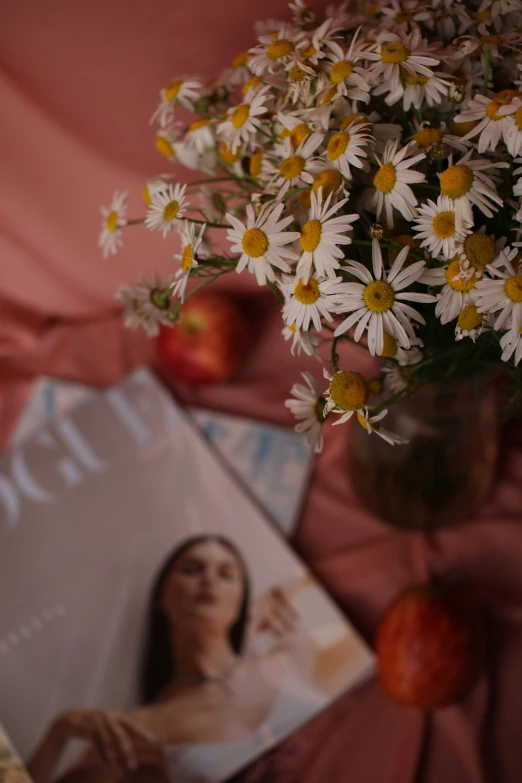 a vase filled with flowers next to a magazine, by Zofia Stryjenska, pexels contest winner, chamomile, with apple, close - up portrait shot, low quality photo