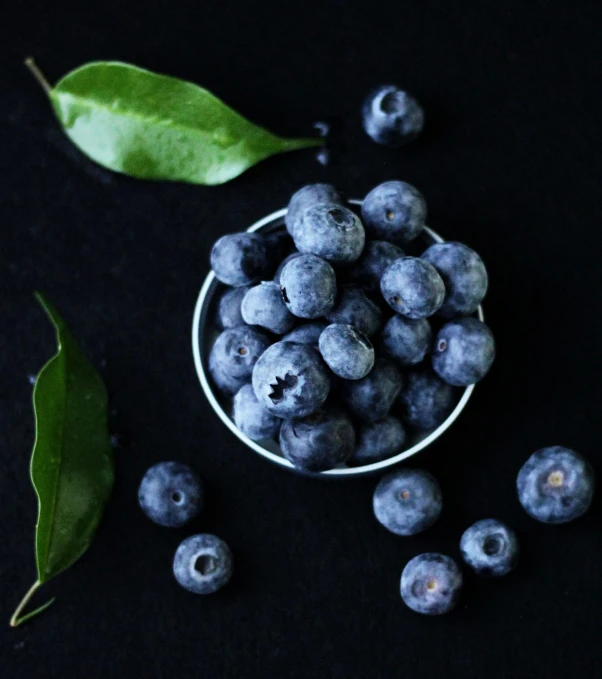 a bowl filled with blueberries next to a leaf, unsplash, avatar image, ignant, dark-skinned, 2263539546]