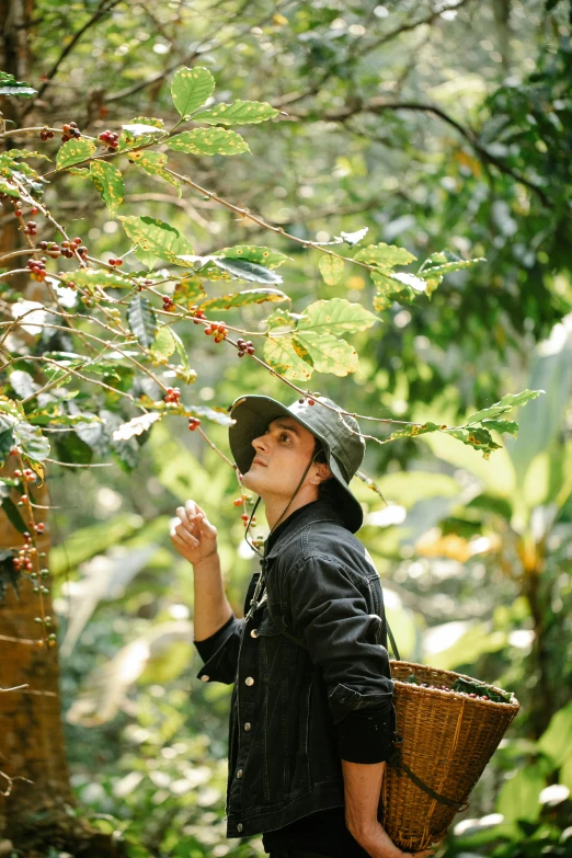 a man is picking berries from a tree, a portrait, inspired by Ruth Jên, unsplash, sumatraism, woman drinking coffee, exterior botanical garden, vietnam, 8 k )