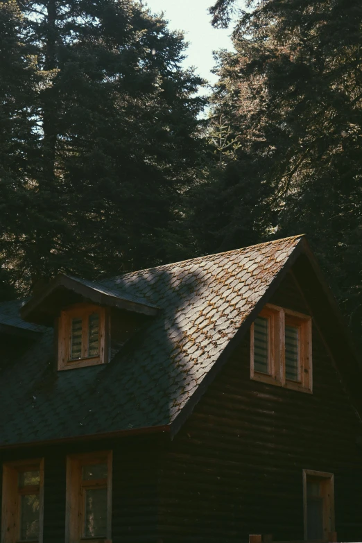 a small cabin sitting in the middle of a forest, a picture, unsplash contest winner, hiding in the rooftops, shade, 90s photo, sharp roofs