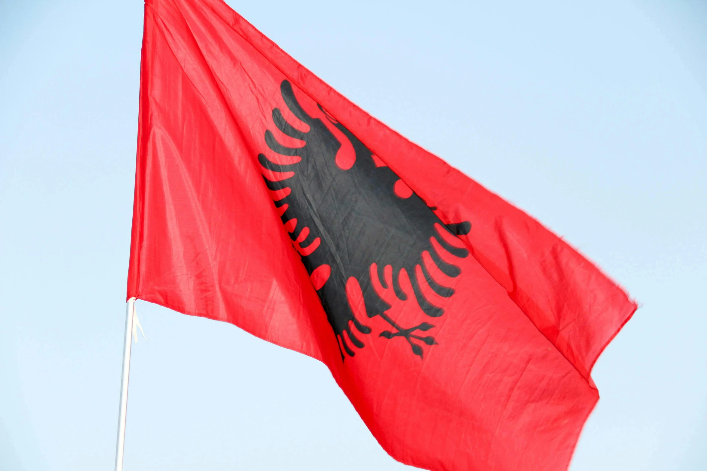 a red flag with a black eagle on it, hurufiyya, thumbnail, slovenian, larapi, engineered